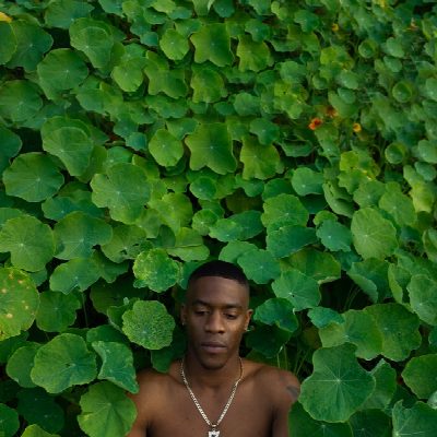Sunni Colón - JúJú & The Flowerbug