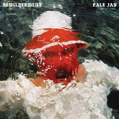 Pale Jay - Bewilderment