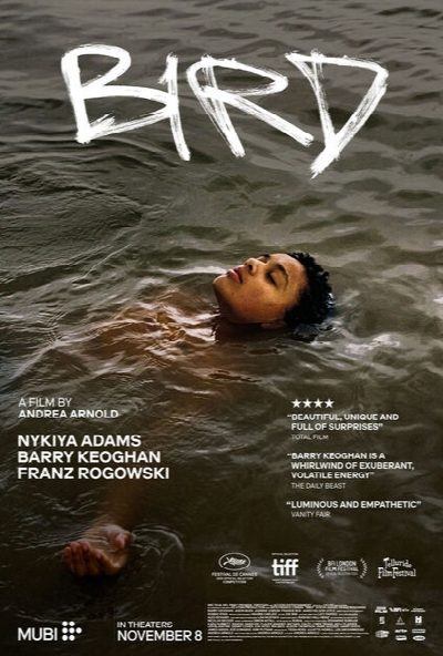 Screening Room - Kino im Februar