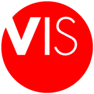 vis.png