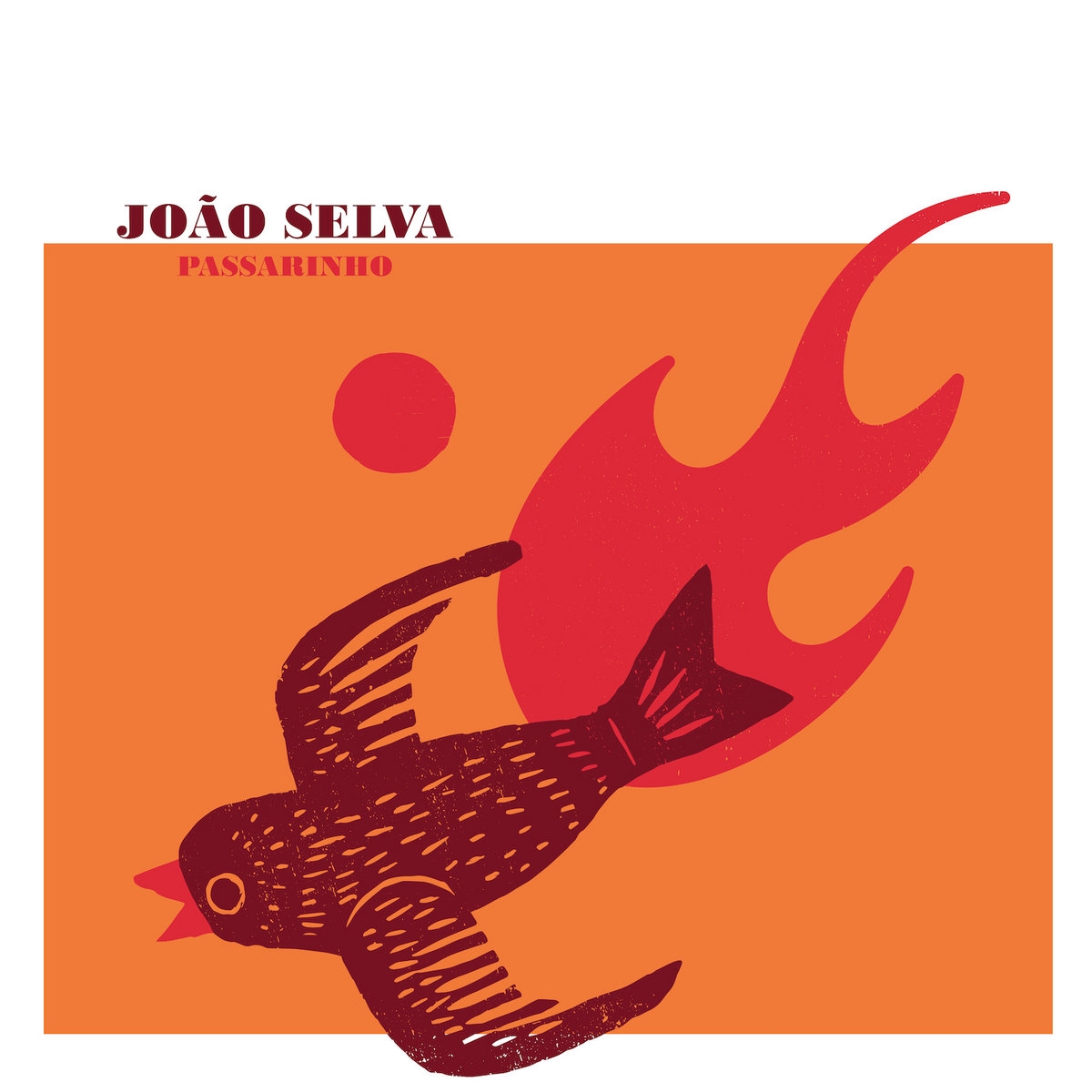 João Selva - "Passarinho"