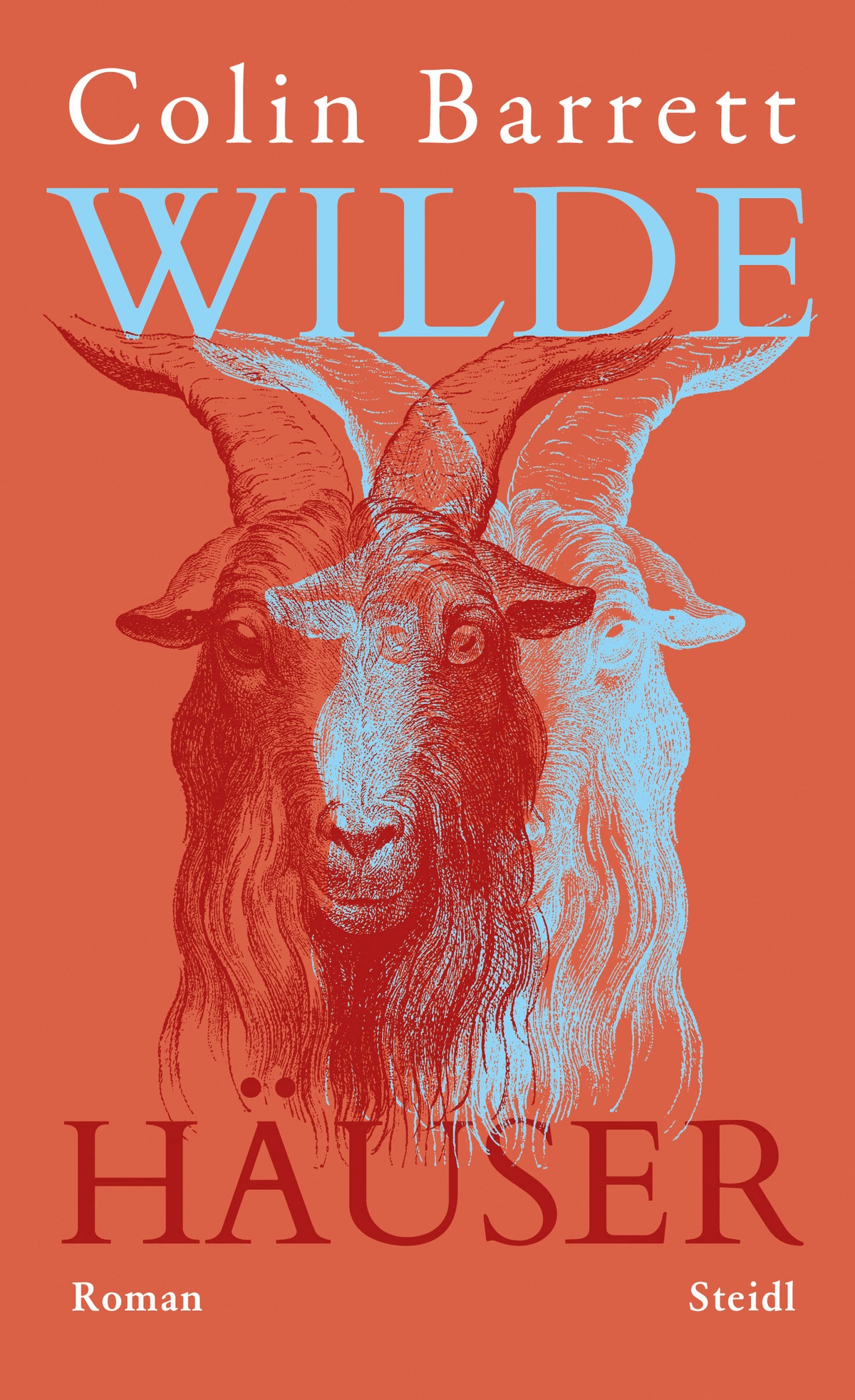 Wilde Häuser