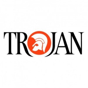 Into The Groove - Trojan